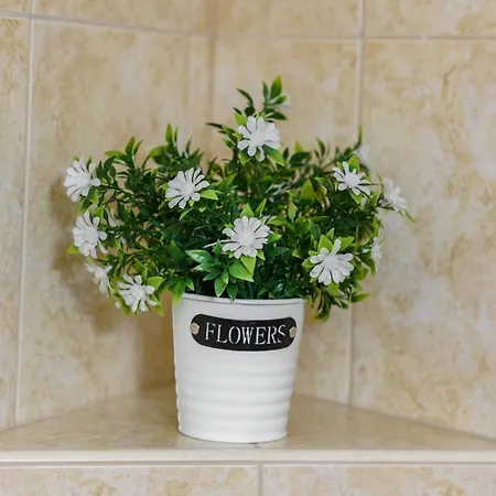 Nyaraló трапезица